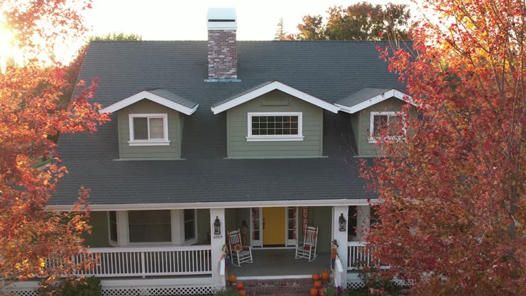 Best Chimney Flashing Repair  in Dagsboro, DE