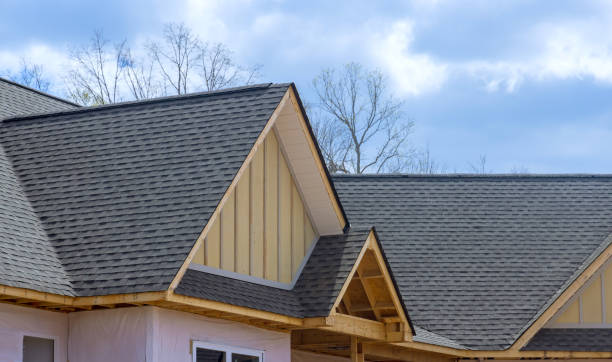 Best Roof Coating and Sealing  in Dagsboro, DE