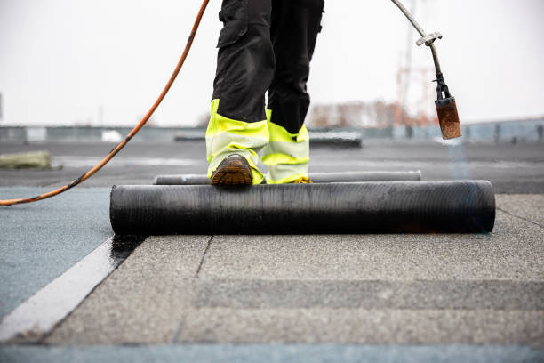 Best Roof Coating Services  in Dagsboro, DE